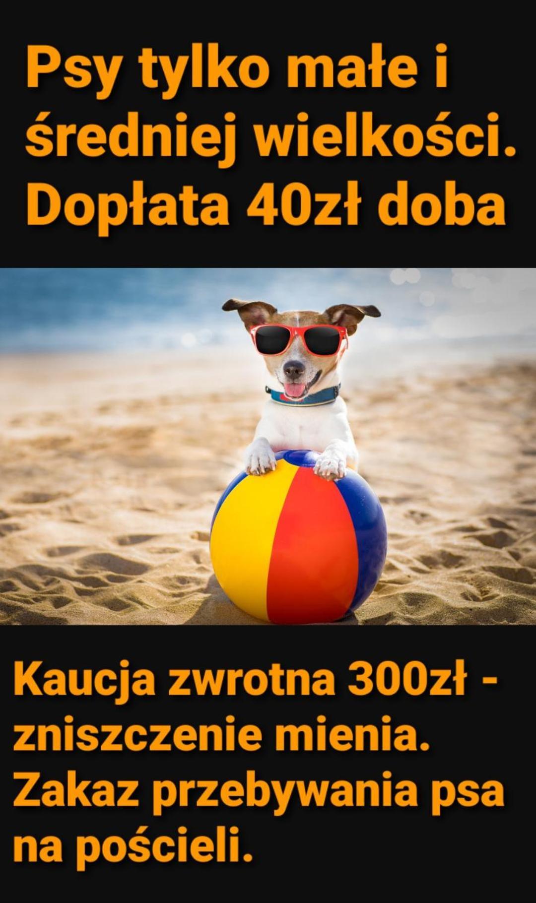 Pokoje Sandra II Łeba Εξωτερικό φωτογραφία